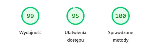 PageSpeed Insights dla OKTAM: wydajność 99, ułatwienia dostępu 95, sprawdzone metody 100