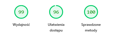 PageSpeed Insights dla SVEDRA: wydajność 99, ułatwienia dostępu 96, sprawdzone metody 100